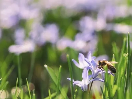 You Will Get Through