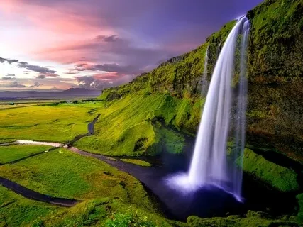 Young & Beautiful Skin