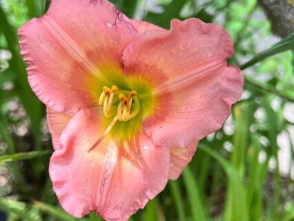 Your 5-Minute Break For Busy Spaces