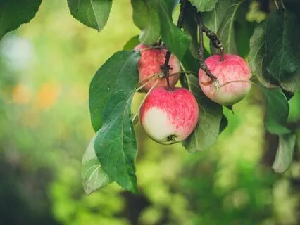 Your Abundant Creativity