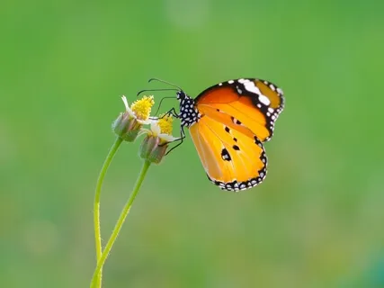 Your Attitude Adjustment Moment Take Two