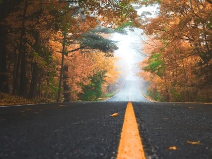 Your Autonomy - Part I Of The Journey Of Becoming