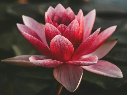 Your Beautiful Moment