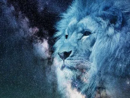 Your Bedtime Story and Relaxation: 1. The Lion