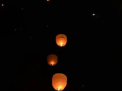 Your Bedtime Story And Relaxation: 6. Two Birds