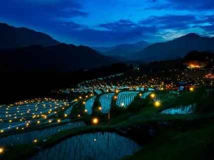 Your Bedtime Story And Relaxation: Lotus Of Unity