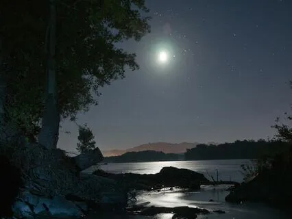 Your Bedtime Story And Relaxation: Reflections Of Self