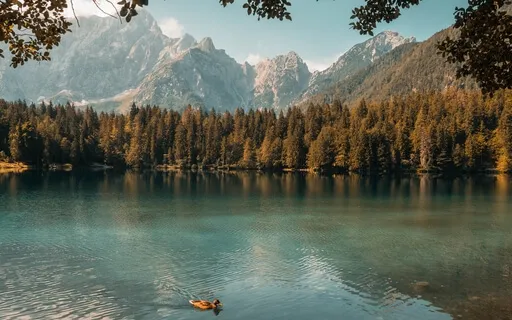 Your Body & Mind As A Lake