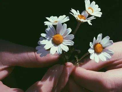 Your Body As A Friend