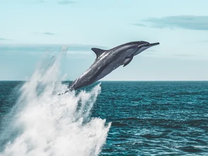 Your Body-Mind-Spirit Is A Universe