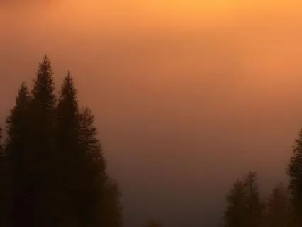 Your Body Need This Today: 10 Min Low Cortisol Music