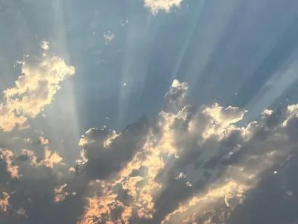 Your Brain Is Guessing | Emotional Reset Series