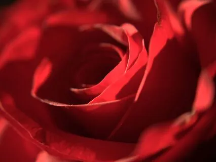 Your Breakthrough Affirmations: Magnetic, Successful & Happy