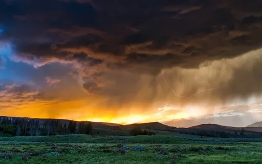 Your Calm In This Storm