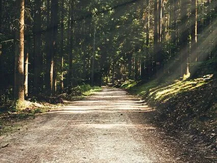 Your Calm Is Your Power