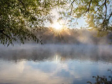 Your Care-Taking Council