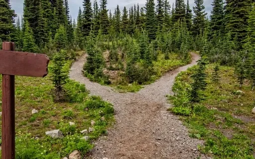 Your Choice Is Power 