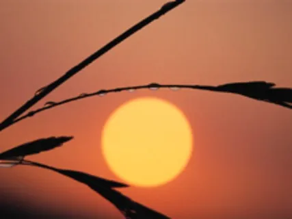 Your Circle Of Value