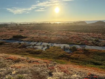 Your Courageous Self