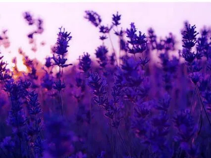 Your Daily Check-In - The Best Start To Your Day