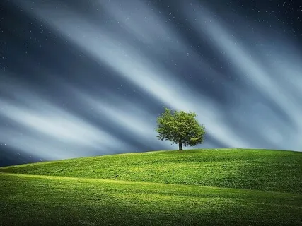 Your Daily Guided Mindfulness Meditation - 10 Minutes