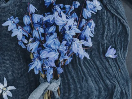 Your Daily Happiness Practice  - 5 Minute Daily Insight