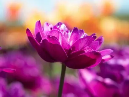 Your Daily Loving Kindness Meditation (With A Twist)