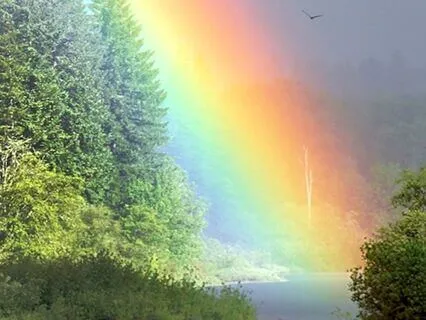 Your Daily Manifestation Meditation