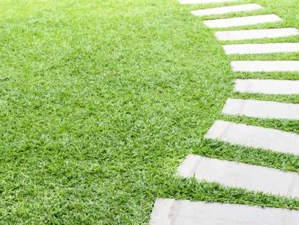 Your Daily Meditation | Day 15: There's No Path To Presence