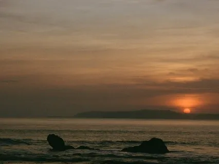 Your Daily Pause - 8 Min Gift To Yourself To Come Back Home