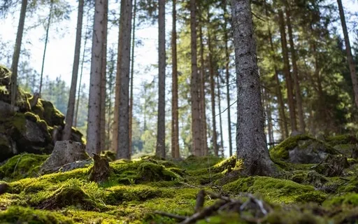 Your Daily Ritual — Get Grounded