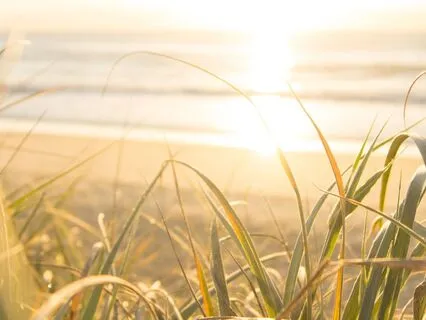 Your Day With Presence | For Deep Healing Energy