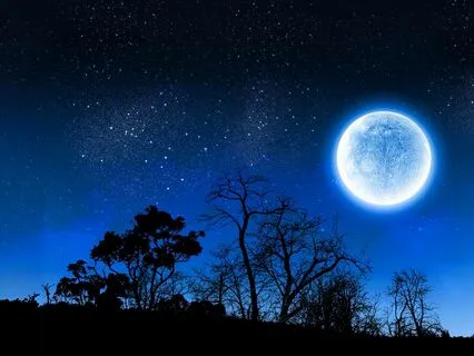 Your Deepest Sleep In Minutes Under The Moonlight