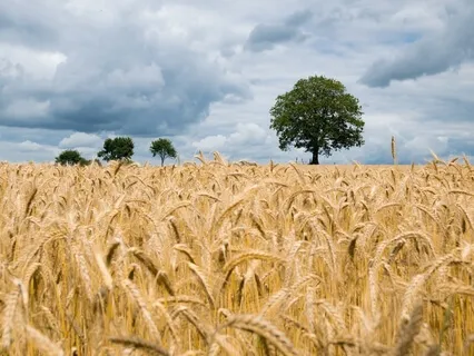 Your Demons Are As Hungry As Your Dreams - Focus On Feeding The Right One