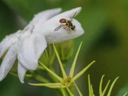 Your Experience Is Created From Within Not Circumstances