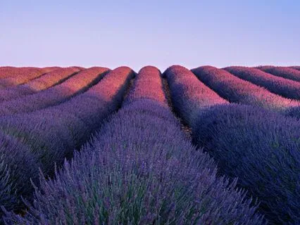 Your Fantasy Sleep Saga (Season 2 Episode 3)