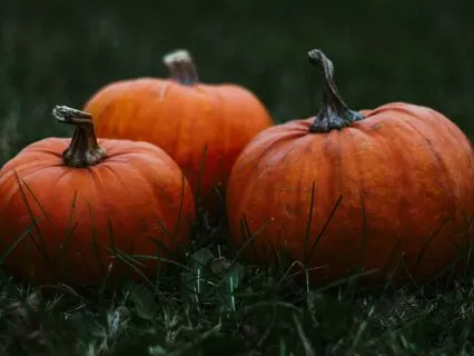 Your Fantasy Sleep Saga (Season 2 Episode 4)