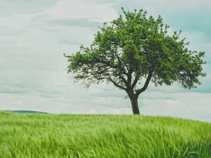 Your Favorite Place In Nature