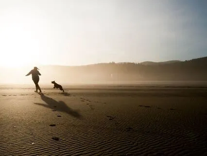 Your Favorite Meditation: Experience The Perfect Day