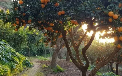 Your First Meditation - Beginner's Meditation