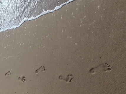 Your Footprints 