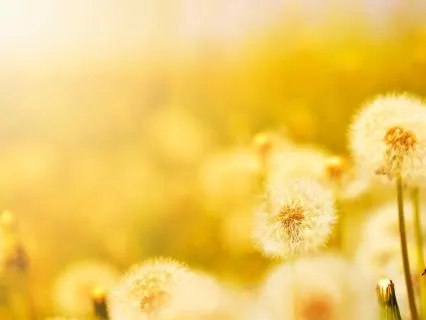 Your Future Has Your Back - From Fear To Flow