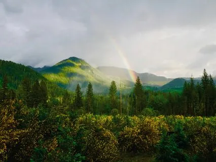 Your Gratitude Is The Key | Vibe With LoFi Beats