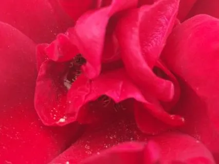 Your Greatest Act Of Daring Is To Live A Life You Love