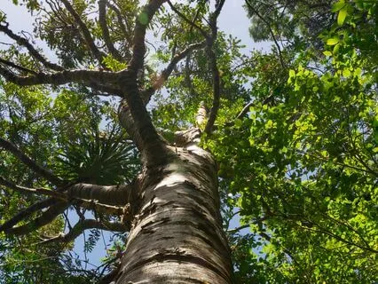 Your Heart Is The Door