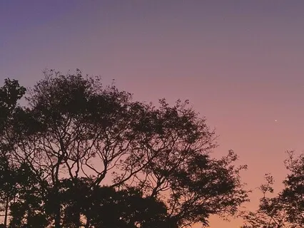 Your Heart's Healing Intention