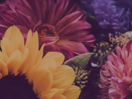 Your Heavy Day Release: Let Go & Return To Center