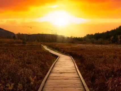 Your Highest Timeline - Manifestation Meditation