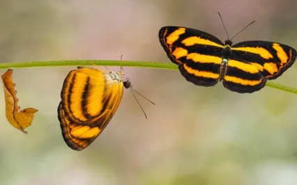 Your Inner Being Has Amnesia!