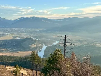 Your Inner Child Is Lonely